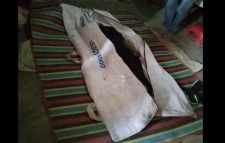 ওসমানীনগরে ট্রাকচাপায় শিশু নিহত