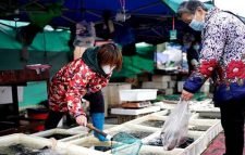 করোনা: আসল রহস্যের খোঁজে