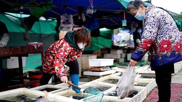করোনা: আসল রহস্যের খোঁজে