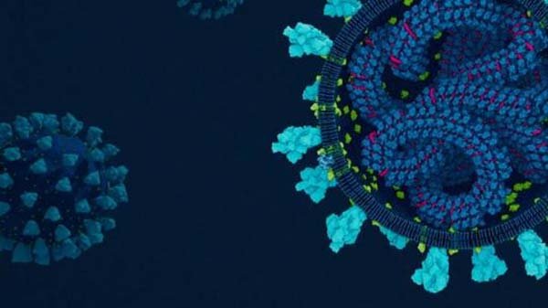 সিলেট জেলায় মৃত্যু ছাড়াল ২০০