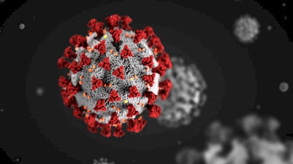 দেশে আরো ৮ জনের মৃত্যু করোনায়