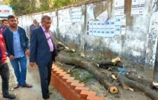 নগরকে সাজাতে সবাইকে নিয়ে কাজ করছে সিসিক : মেয়র