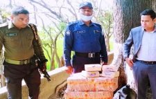 তাহিরপুরে ভারতীয় ঘোড়া ও বিড়ি চালান আটক