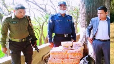 তাহিরপুরে ভারতীয় ঘোড়া ও বিড়ি চালান আটক