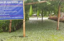 ভাসমান বেডে সবজি ও মসলা চাষ করে আশা জাগানিয়া সিলেটের  কৃষকরা