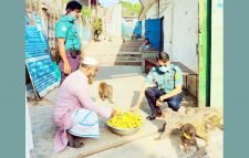 চাষনী পীর মাজারে বানরদের খাবার দিলেন ওসি মাইনুল