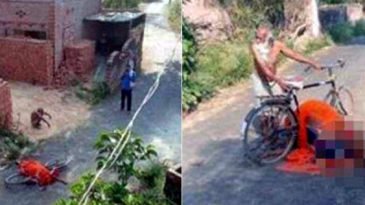 করোনা ভয়ে স্থানীয়দের শেষকৃত্যে বাধা  মৃত স্ত্রীকে নিয়ে সাইকেলে ঘুড়লেন বৃদ্ধ