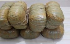 হবিগঞ্জ হবিগঞ্জে ১৪ কেজি গাঁজাসহ যুবক গ্রেফতার