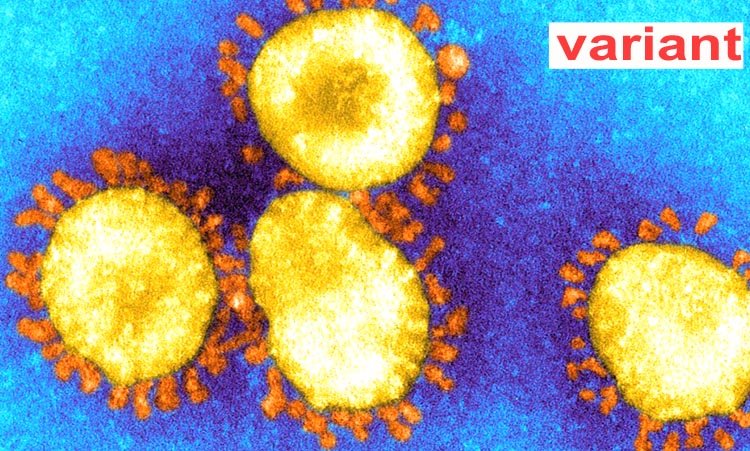 বাংলাদেশকে সতর্ক থাকার আহবান — স্বাস্থ্য অধিদপ্তর