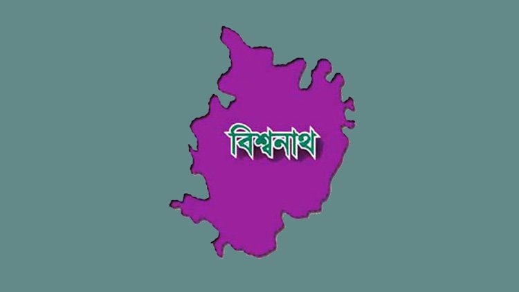 বিশ্বনাথে তালতো ভাইয়ের হামলায় যুবক আহত