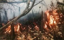 এখনও ধোঁয়া উড়ছে সুন্দরবনে