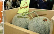 দুই তরমুজ বিক্রি হলো প্রায় ২১ লাখ টাকায়!