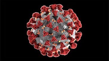 মৃত্যু ছাড়াল ১৪,০০০