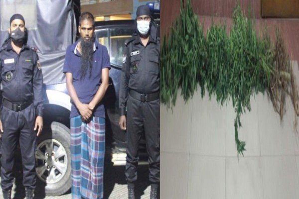 এয়ারপোর্টে গাঁজা চাষ করতেন লাল,