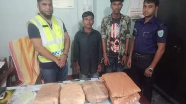 মাধবপুরে গাঁজার চালানসহ ২ চোরাকারবারি আটক