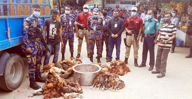 রাজধানীতে ২শ মরা মুরগিসহ আটক ৭