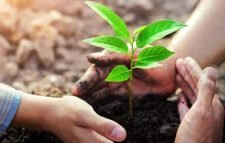 ‘আজ পরিবেশ দিবস, আসুন গাছ লাগাই’