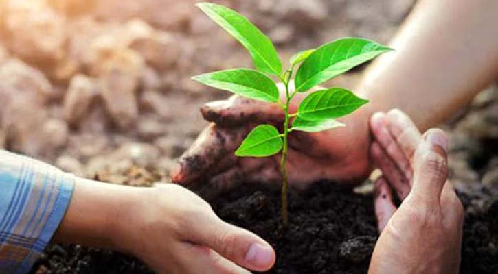 ‘আজ পরিবেশ দিবস, আসুন গাছ লাগাই’