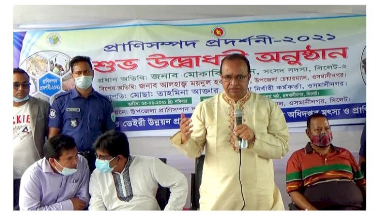 মৃত্যুকে কবুল করব, তবু সিন্ডিকেটের সঙ্গে হাত মেলাব না: সাংসদ মোকাব্বির