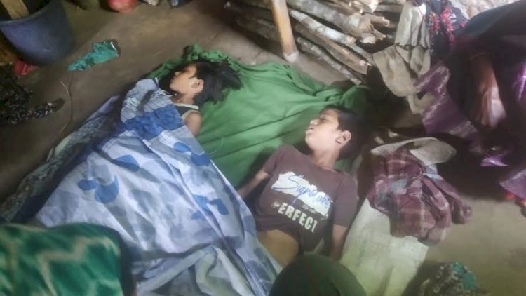 কমলগঞ্জে পানিতে পড়ে মামা- ভাগিনীর মৃত্যু