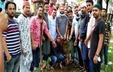 বিশ্ব পরিবেশ দিবসে সিলেট ছাত্রদলের জিয়া ট্রি রোপণ
