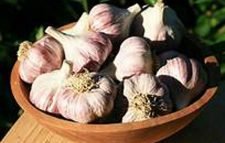 রসুনের উপকারীতা