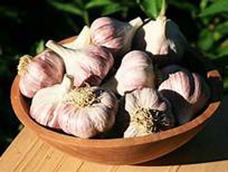 রসুনের উপকারীতা