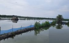 জোয়ারে ভেসে গেছে ঘের, ১১ কোটি টাকার ক্ষয়ক্ষতি