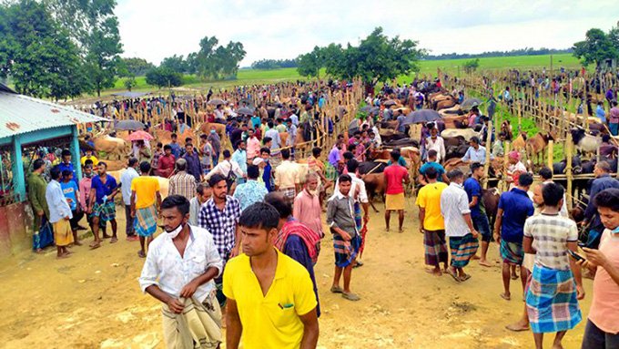নবীগঞ্জে লকডাউনেও বসলো পশুর হাট