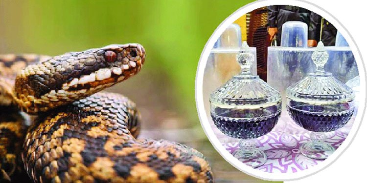 হবিগঞ্জে ৯০ কোটি টাকার সাপের বিষ জব্দ