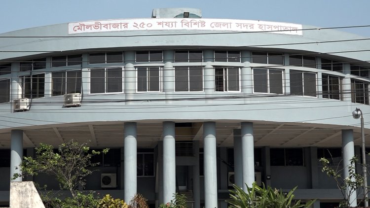 মৌলভীবাজারে ১২ ঘন্টায় ৩ জনের মূত্যু