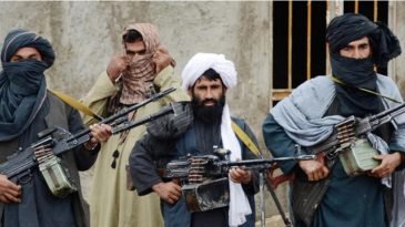 আফগানিস্তানে সেনাবাহিনীর অভিযানে ২৬৯ তালেবান নিহত