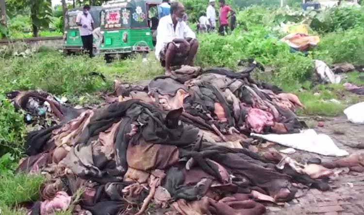 মৌলভীবাজারে কুরবানির পশুর চামড়া নদীতে ফেলে দিয়েছেন ব্যবসায়ীরা