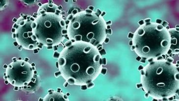 খুলনায় করোনায় আরও ১৯ জনের মৃত্যু