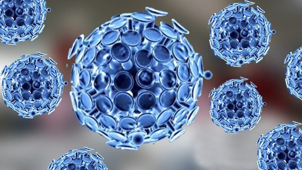 করোনায় আরও ৭ জনের মৃত্যু, শনাক্ত ৪৪৬