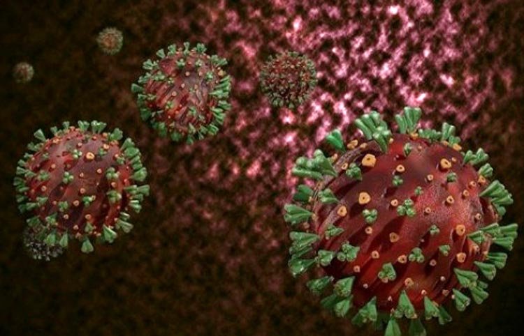 এবার ডেল্টা ভ্যারিয়েন্টের পর নতুন ভয়ানক ভাইরাসের উৎপক্তি “ ল্যামডা স্ট্রেইন “
