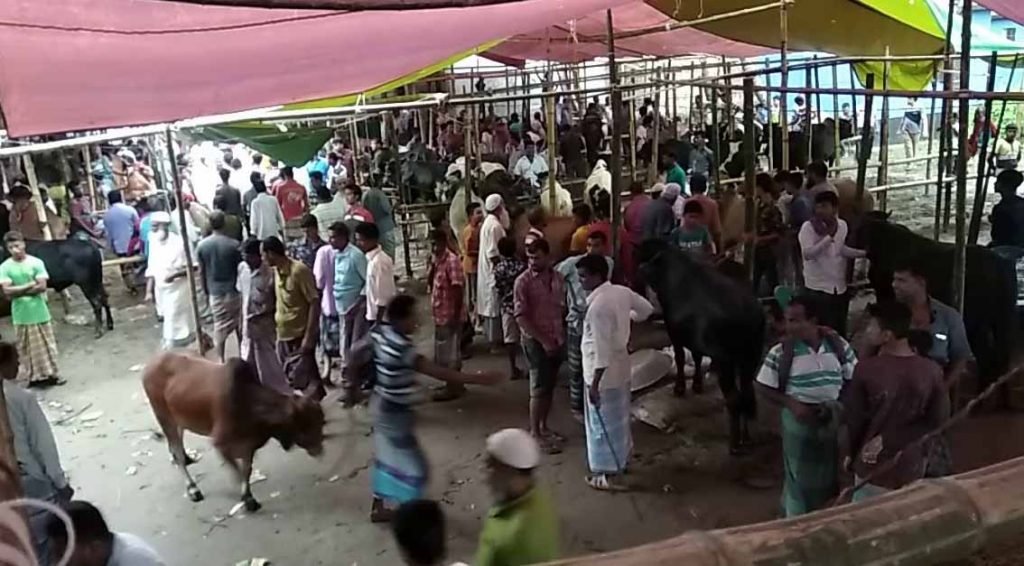 আজ শনিবার থেকে শুরু পশুর হাট