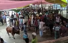 আজ শনিবার থেকে শুরু পশুর হাট