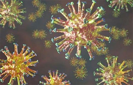 ফেনোফাইব্রেট কোভিড-১৯ সংক্রমণ ৭০ শতাংশ কমিয়ে দিতে পারে