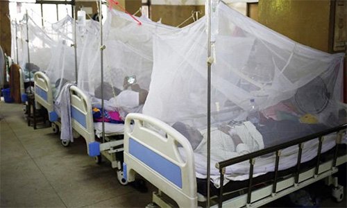 আরও ২২৪ জন নতুন ডেঙ্গু রোগী হাসপাতালে ভর্তি