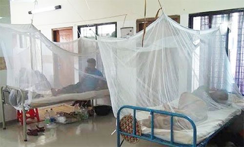 আরও ২২৬ জন নতুন ডেঙ্গু রোগী হাসপাতালে ভর্তি