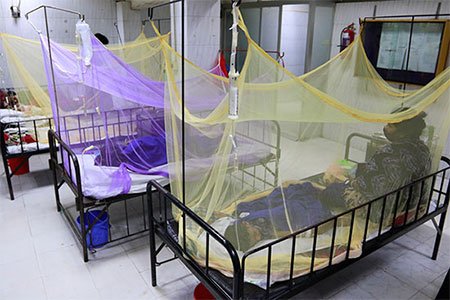 আরও ৩২৯ জন নতুন ডেঙ্গু রোগী হাসপাতালে ভর্তি