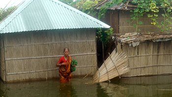 কুষ্টিয়ার ৩৭ গ্রামের ৫০ হাজার মানুষ পানিবন্দি
