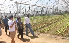 সিসিলি পৌঁছেছেন বাংলাদেশের ১২১ শ্রমিক