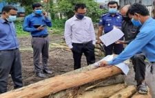 মাধবপুরে অবৈধ করাতকলের বিরুদ্ধে প্রশাসনের অ্যাকশন