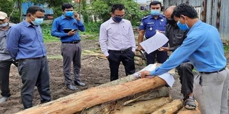 মাধবপুরে অবৈধ করাতকলের বিরুদ্ধে প্রশাসনের অ্যাকশন