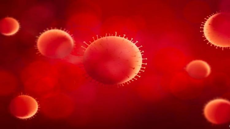 সিলেটে করোনায় ৯ জনের মৃত্যু, সবাই সিলেট জেলার