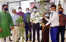 শোকাবহ আগষ্টে  অগ্রণী ব্যাংক শিবগঞ্জ শাখার গাছের চারা বিতরণ