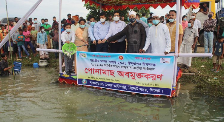 সিলেট সদর উপজেলায় মাছের পোনা অবমুক্ত করলেন বিভাগীয় কমিশনার