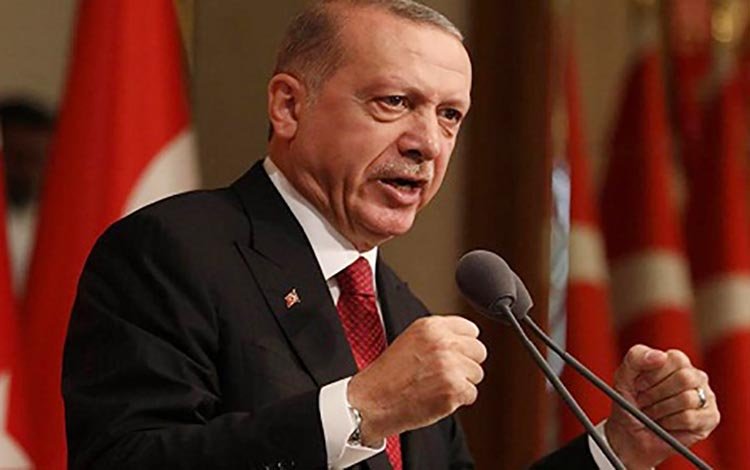 কাবুলের দায়িত্ব নিতে প্রস্তুত তুরস্ক বললেন এরদোয়ান